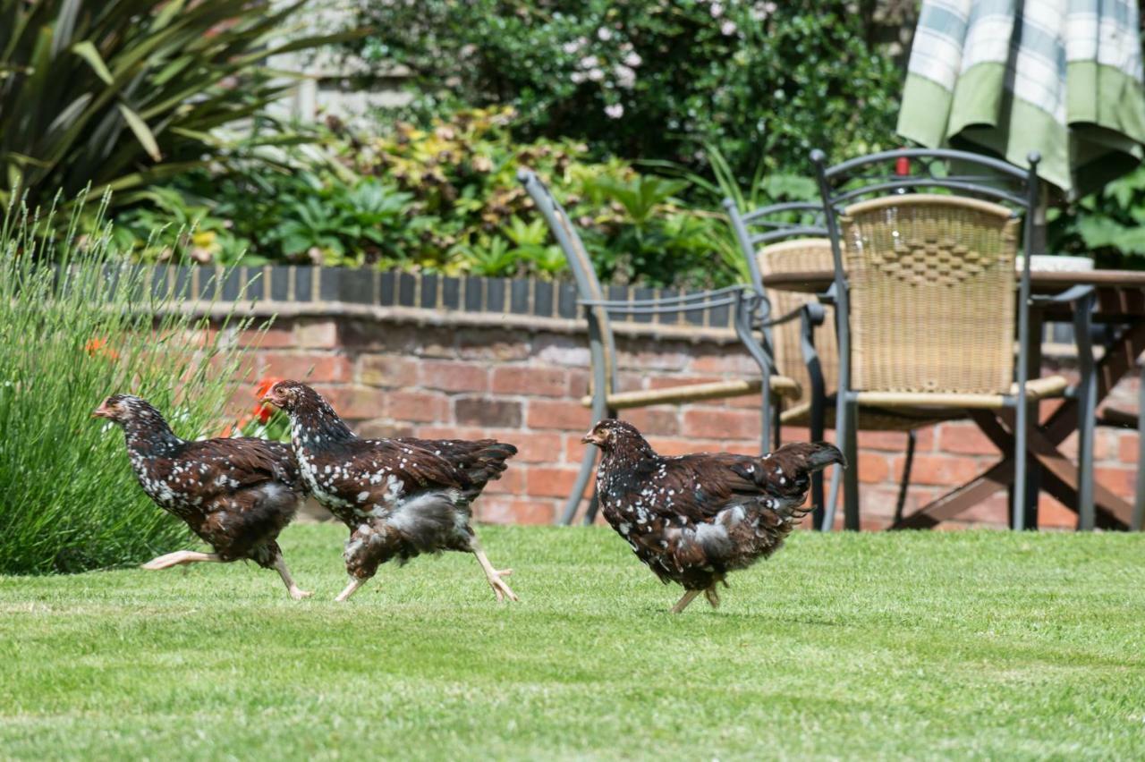 Moreton Hall Farm Bed and Breakfast Newport  Exterior foto